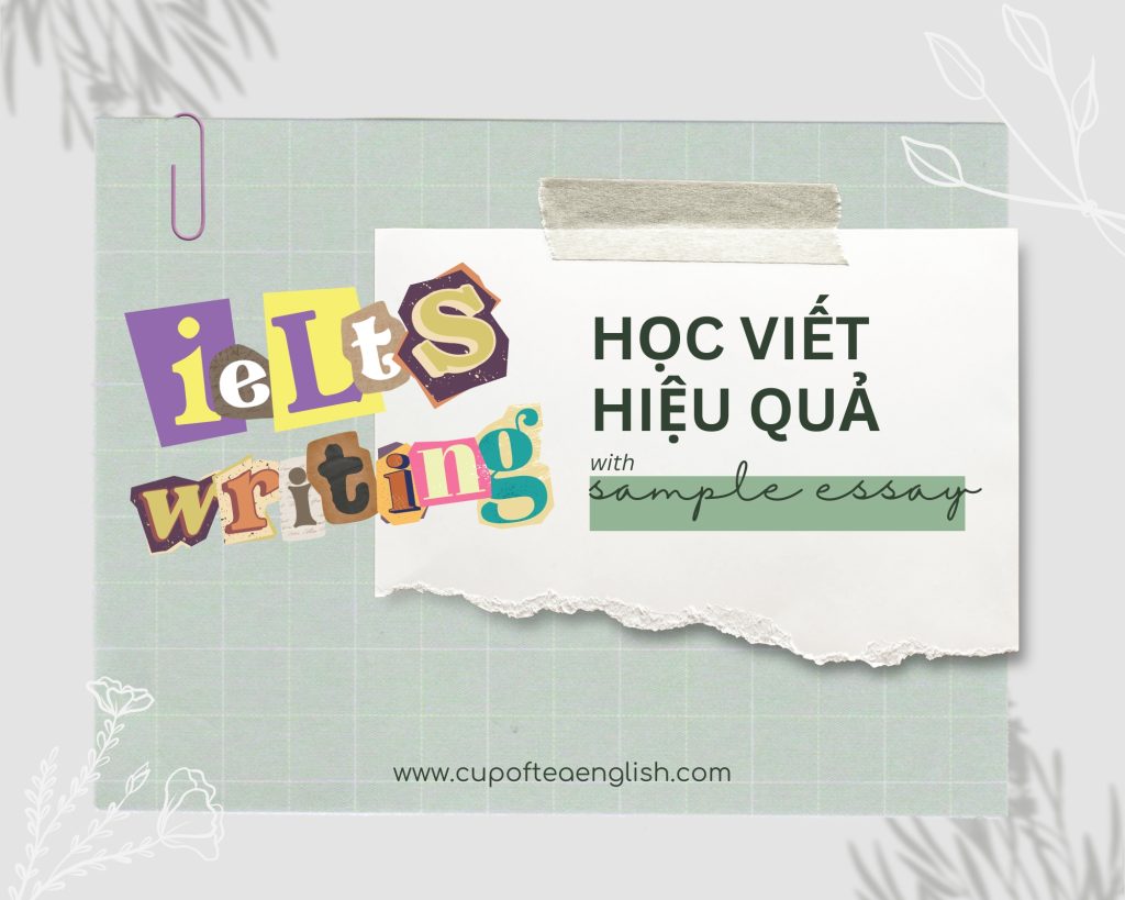 ielts writing sample essay